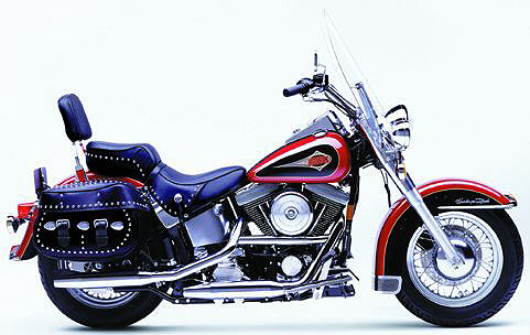 flstc.jpg (71022 bytes)